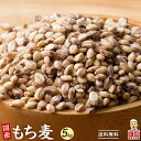 雑穀 雑穀米 国産 もち麦 5kg(500g×10袋) 徳用サイズ 無添加 無着色 送料無料 ダイシモチムギ ダイエット食品 置き換えダイエット