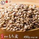 ＼クーポン利用で40％OFF／雑穀 雑穀米 国産 もち麦 450g お試しサイズ 無添加 無着色 送料無料 ダイシモチムギ ダイエット食品 置き換えダイエット