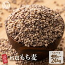 \月末月初SALE/雑穀 雑穀米 国産 もち麦 【内容量が選べる400g~24kg】 お試しサイズ 無添加 無着色 送料無料 ダイシモチムギ ダイエット食品 置...