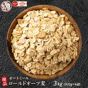 オートミール 3kg(500g×6袋) オーツ麦 燕麦 業務用 食物繊維 砂糖不使用 シリアル グラノーラダイエット 置き換えダイエット 送料無料