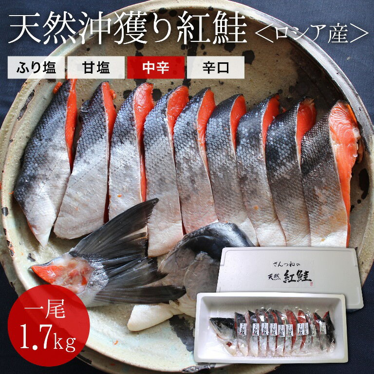 沖獲り紅鮭　一尾（約1.7kg）鮭 サケ さけ サーモン 天...