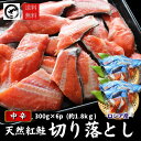 天然紅鮭切り落とし 1.8kg(300g×6) べにさけ ベニサケ 中辛 切落し 特大 規格外 訳あり BBQ コスパ鮭 あす楽 訳あり