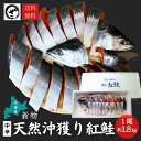 北海道産 沖獲り紅鮭 一尾(約1.8kg) 鮭 サケ さけ サーモン 天然 紅サケ 紅さけ お取り寄せ お土産 お返し ギフト 贈答 魚 内祝 法要 法事 出産祝い 結婚 お祝 誕生日 長寿 金婚式 銀婚式 還暦 古稀 贅沢 人気セット 高級 ご飯の友 海鮮