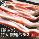 訳あり 銀鮭 ハラス 特々大サイズ 甘塩 1.1kg あす楽 さけ サケ はらす アウトレット
