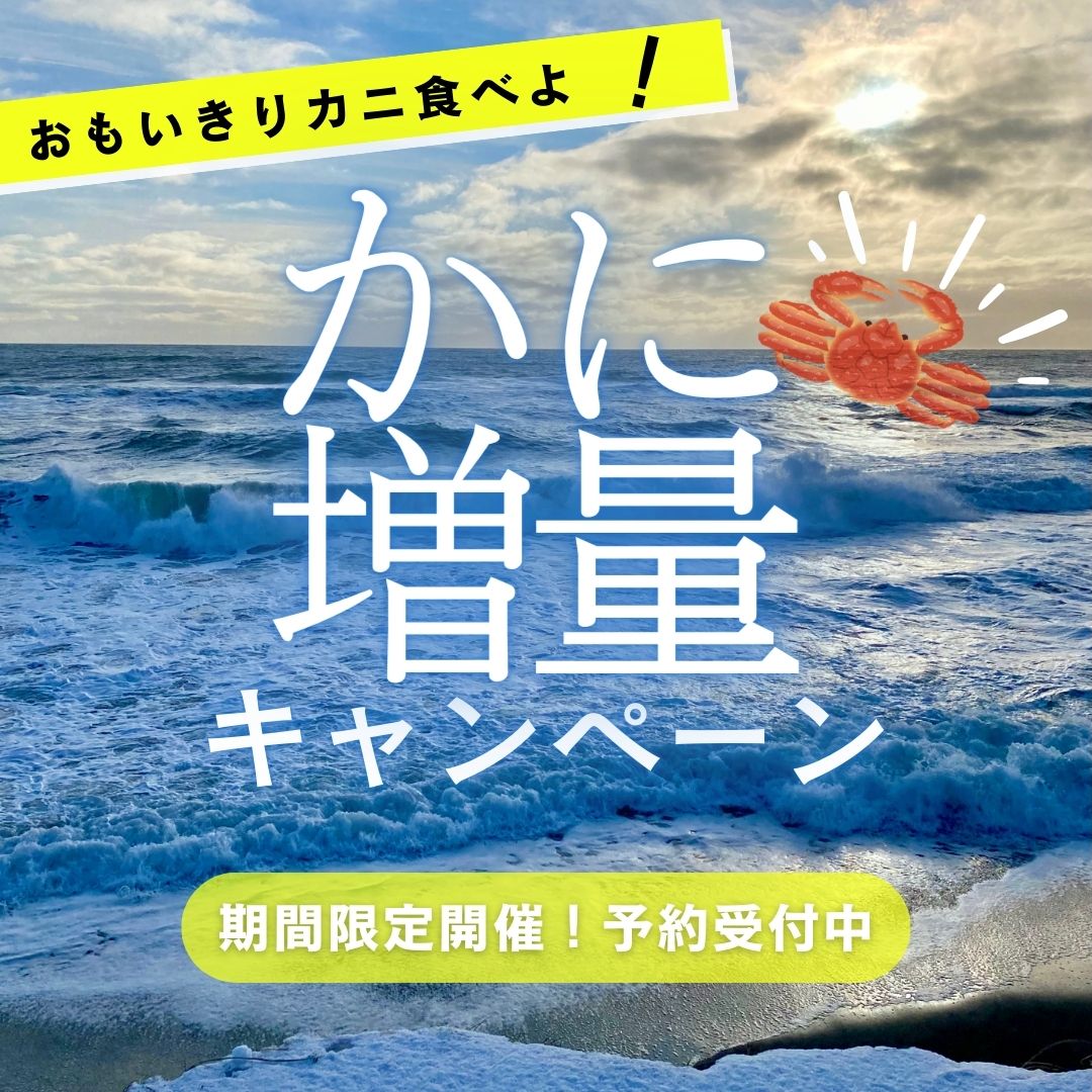 【増量キャンペーン】極上【特大】生ズワイガニ　4kg 【総重量 5kg】 特大サイズ 生食可 カット済み ずわいがに ズワイ蟹 希少 コンパクト カニ鍋 ギフト お歳暮 送料無料 大きいかに カニ 蟹 ずわい ズワイ ガニ