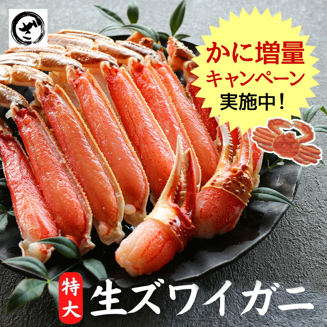 【増量キャンペーン】極上【特大】生ズワイガニ 特大サイズ 生食可 カット済み ずわいがに ズワイ蟹 希少 コンパクト カニ鍋 ギフト お歳暮 送料無料 大きいかに カニ 蟹 ずわい ズワイ ガニ