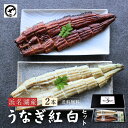浜名湖産 うなぎの蒲焼と白焼の紅白セット 2本 お中元 国産 浜名湖産 ウナギ 鰻 蒲焼き 白焼き ギフト 食べ物 送料無料 プレゼント 夏ギフト お祝い 食品 グルメ 人気 内祝い 誕生日 土用の丑の日 父の日 ご褒美 高級 贅沢