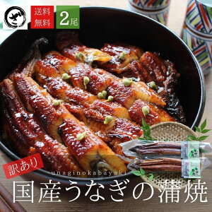 【訳あり】国産うなぎ蒲焼 2尾 （約125g×2）【送料無料】 うなぎ 鰻 ウナギ 蒲焼 うな丼