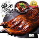 母の日 ギフト 特大うなぎ蒲焼(185g〜215g)x3本【送料無料】 最安値挑戦 鰻 ウナギ ギフト プレゼント 食べ物 魚 グルメ 高級 食品 海鮮 味噌漬...