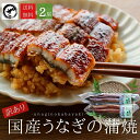 【訳あり】国産うなぎ蒲焼 2尾 (約125g×2)【送料無料】 うなぎ 鰻 ウナギ 蒲焼 うな丼