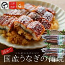 【訳あり】国産うなぎ蒲焼 4尾 (約125g×4)【送料無料】 うなぎ 鰻 ウナギ 蒲焼 うな丼