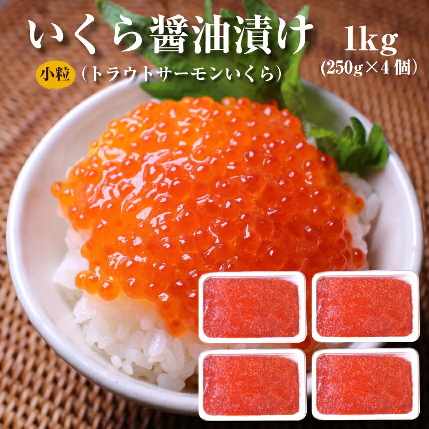  kT[  ݖЂ250g~4(1kg)   