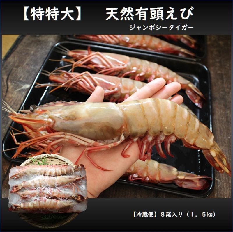【特特大】天然有頭エビ 8尾 1.5kg えび 海老 スーパービッグ 大きなエビ スーパージャンボ シータイガー 希少 レア 訳あり
