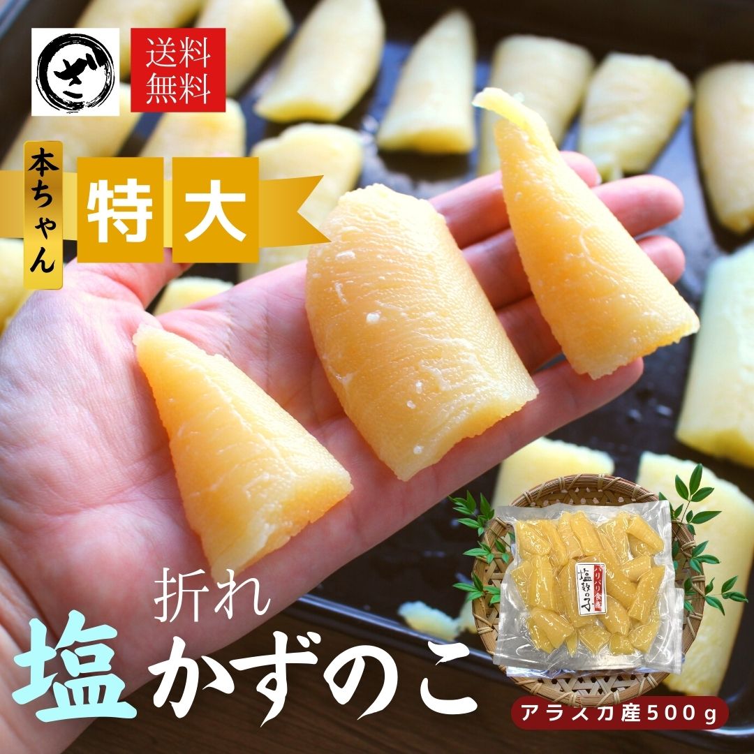 【お徳用】訳あり 塩数の子 折れ アメリカ（アラスカ）産 500g 1袋 送料無料 本チャン 北海道加工 特大サイズの折れ子　わけあり 1折れ 2折れ 御歳暮 ギフト 送料込み 数の子 かずのこ カズノコ ワケアリ 折れ子 塩折れ500g ヤマニ　井原水産