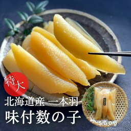 北海道産 特大 一本羽 味付け数の子 500g数の子 かずのこ カズノコ 国産