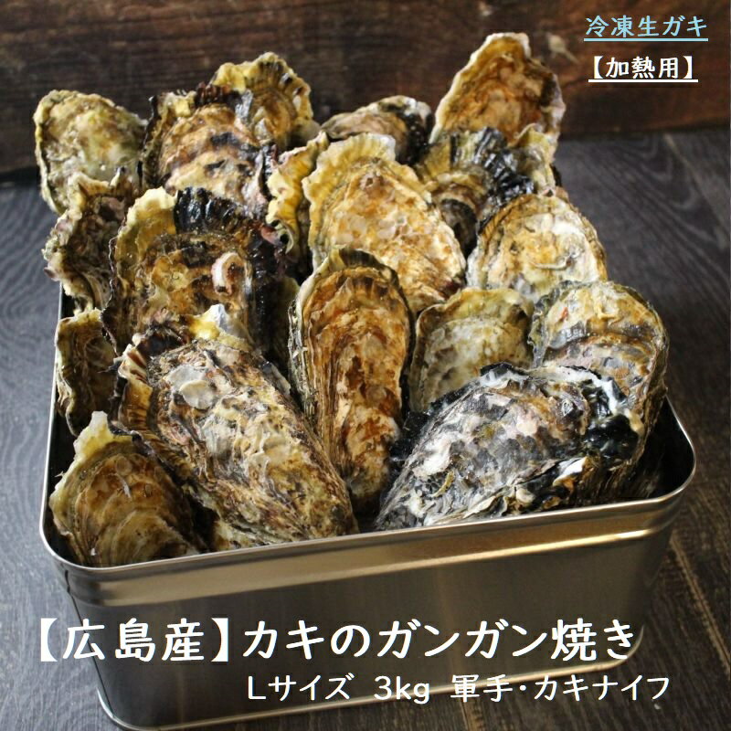 広島県産　カキのガンガン焼きセッ