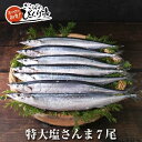 【特大】塩さんま7尾 干物 BBQ 焼魚 さんま