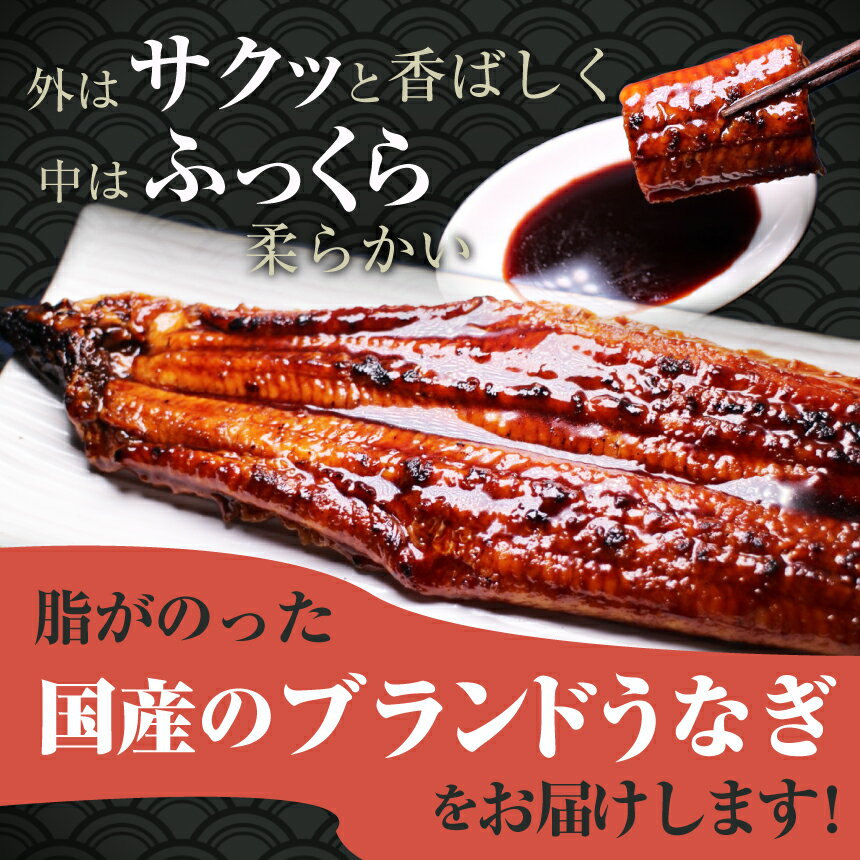 敬老の日ギフト 特大うなぎ蒲焼(185g〜215g) ×3本 送料無料 敬老の日 お中元 御中元 両親 ギフト 豪華 高級 プレゼント 贈答用 簡単調理 魚 魚介 豪華 ボリューム うな重 鰻丼 うなぎ丼 うなぎ ウナギ 鰻 パーティー 特別 プレゼント