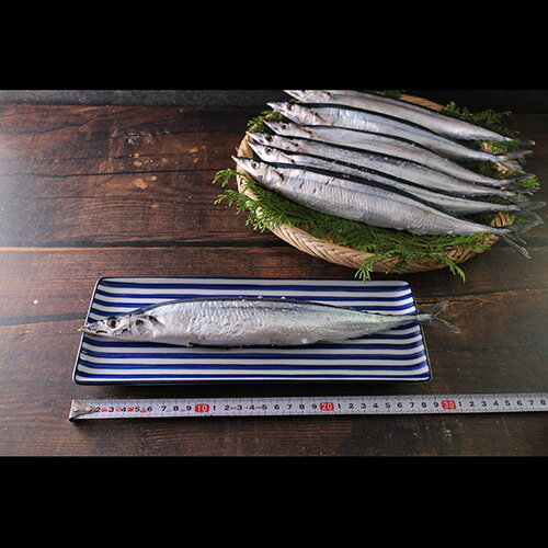 楽天市場 年 新物 塩さんま７尾 干物 ｂｂｑ 焼魚 サンマ 秋刀魚 国産 塩サンマ 冷凍 ざこばの朝市オンラインショップ