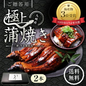 特大うなぎ蒲焼(185g〜215g)x2本【送料無料】