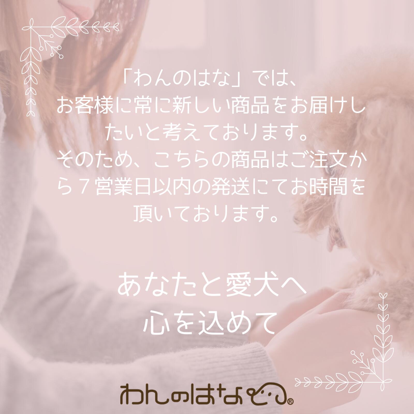 ���ˤ�󿩴������ ������ 300ml