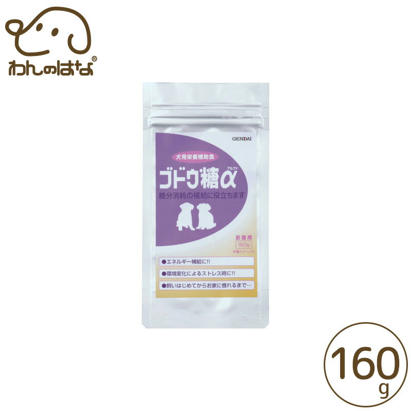 現代製薬 ブドウ糖α（お徳用） 160g