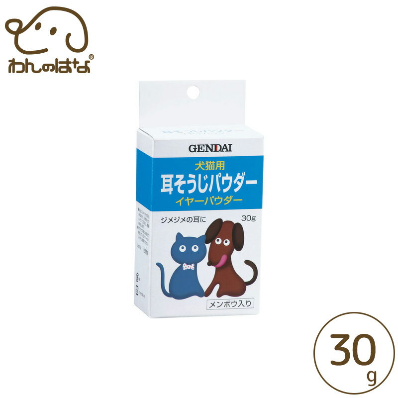 現代製薬 イヤーパウダー 30g