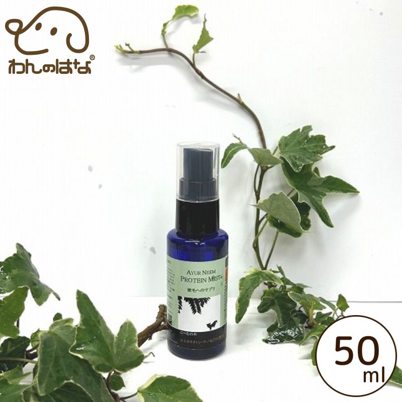 ������롡�ˡ��ࡡ�ץ��ƥ���ߥ���50ml�����ӤΥ��ץ��