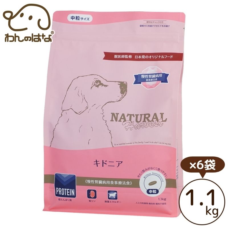 ナチュラルハーベスト キドニア 1.1kg×6袋
