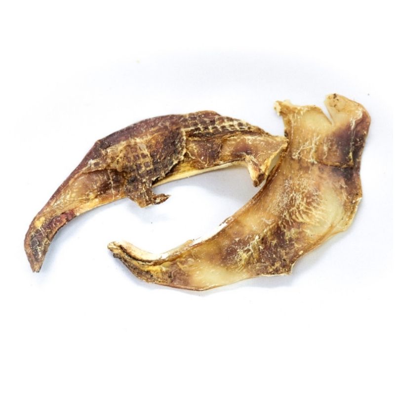ハレマエ ベニソンスカピュラ 60g
