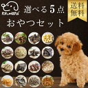 【送料無料】わんのはな 選べるおやつ5点セット 食べ比べ 犬 おやつ セット
