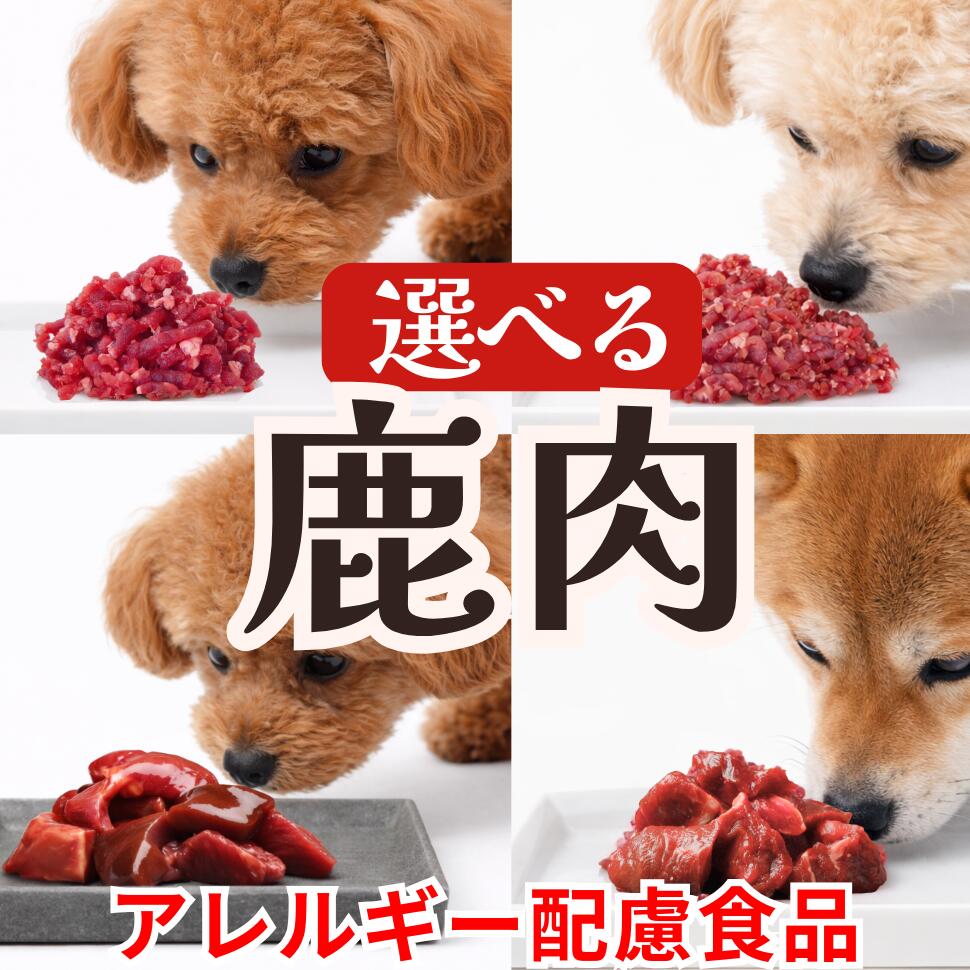 �����٤뤪������� ���� ���� ���� �̳�ƻ�� �����������ߥ�� ����OK �⤿��Ѥ��㥫���꡼ ̵ź�� ���쥤��ե꡼ ����륮����θ ...