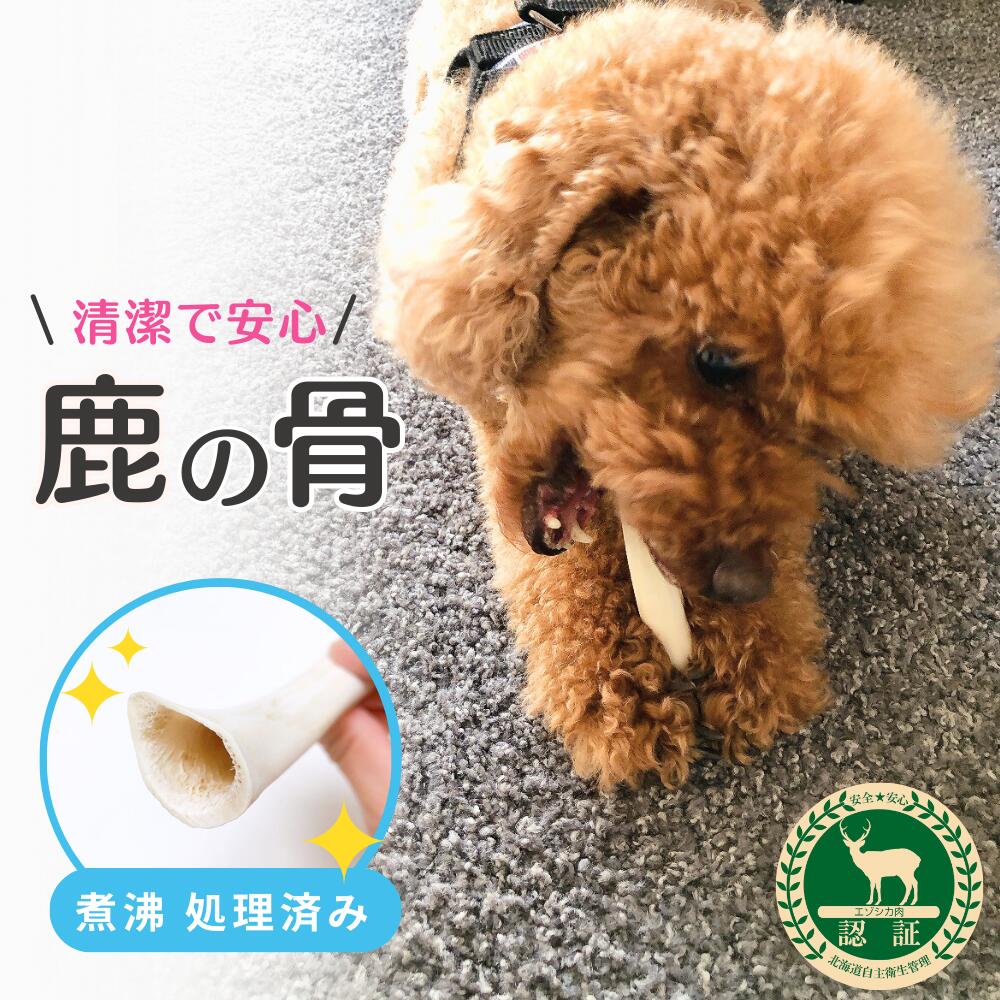 楽天ザッシュ Zasshu1000円ポッキリ 鹿の骨 犬 おもちゃ 鹿角 小型犬 中型犬 国産 鹿肉 鹿 角 デンタルケア ガム 鹿の角 北海道 天然 エゾ鹿角 玩具 歯磨き エゾシカ 愛犬 スティック 骨 ボーン 歯周病 健康 ペット お試し フード 防止 しつけ 犬用 Zasshu