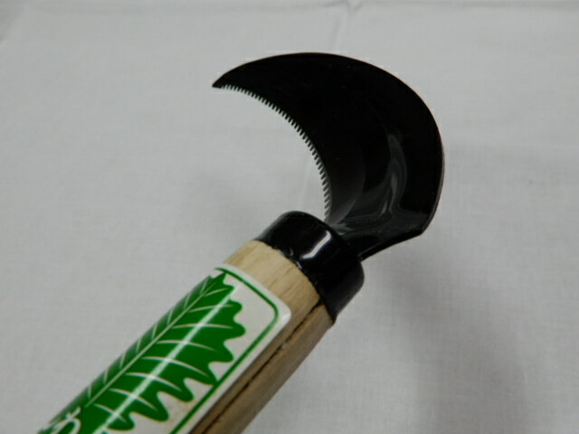 ����������ڰ��餯�餯������������դ�����Ĺ310mm��������110mm