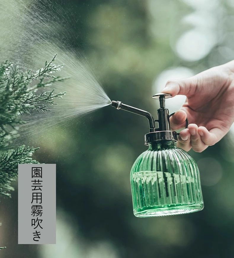 観葉植物 高 ガラス 送料無料 おしゃれ スプレー ミスト 霧吹き