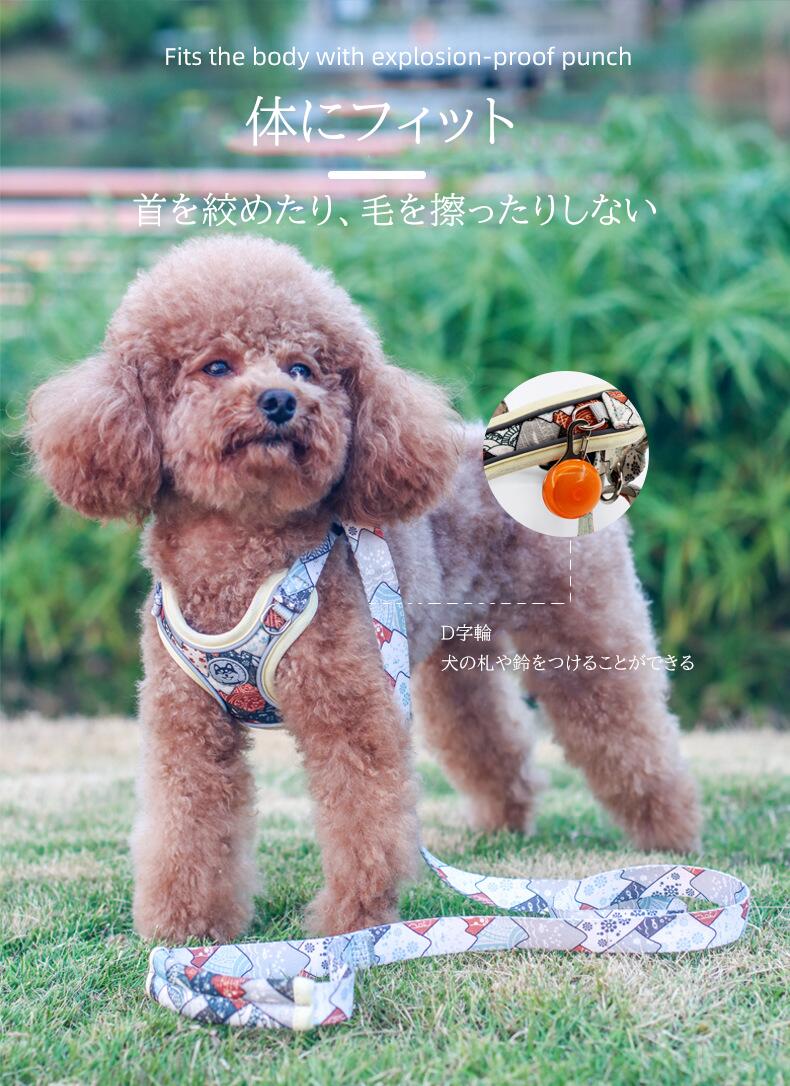 サンプル画像3