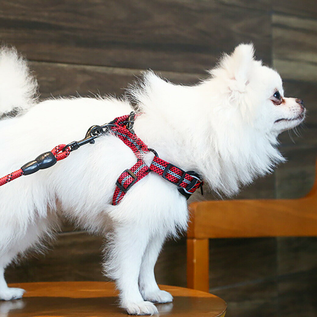 犬 ハーネス リード 猫 ウサギ 選べる4色 ミニチュアダックス 小型犬 中型犬 大型犬 ペットグッズ 犬猫..