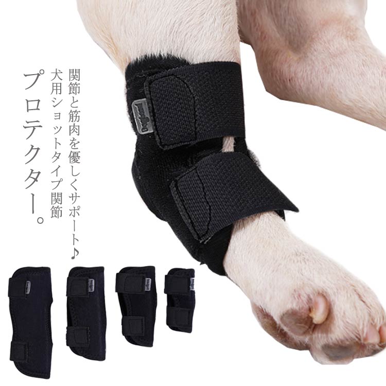 犬 用 関節プロテクター ショートサポーター 膝 サポーター 関節保護 術後 治療 ペット用ケア用品 犬骨折治療 老犬介護 介護用品 シニア 肘当て 床ずれ 腕 肘 老犬 老齢犬 送料無料 犬用介護用品