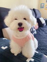 秋の犬服 厚手 暖かい タンクトップ ふわふわ 可愛らしい 猫と犬の秋服