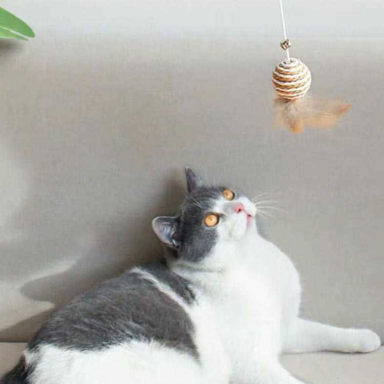 猫じゃらし 3点セット 猫おもちゃ 天然素材 木製 羽根 鈴付き ネズミぬいぐるみ 綿 麻 リネン ねこじゃらし 歯磨き ストレス解消 運動不足解消 じゃれる 釣り竿 子猫 ねこ ネコ 猫用品 かわいい おしゃれ 2