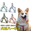 犬用胴輪 ハーネス 犬用 小型犬 ペット カラフル ドッグラン お散歩 脱着簡単 衝撃吸収 外出 お洒落 安全 プレゼント 可愛い アウトドア メール便