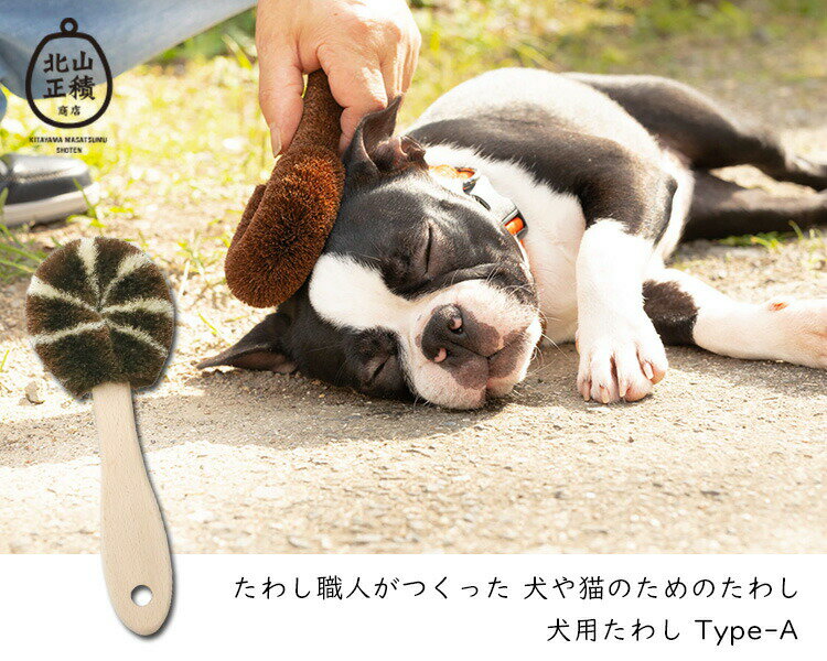 ペット用たわし ワンちゃんブラシ 犬用たわし Aタイプ ブラッシング ペット用ブラシ ペットブラシ 北山正積商店【ポイント2倍】【p1021】