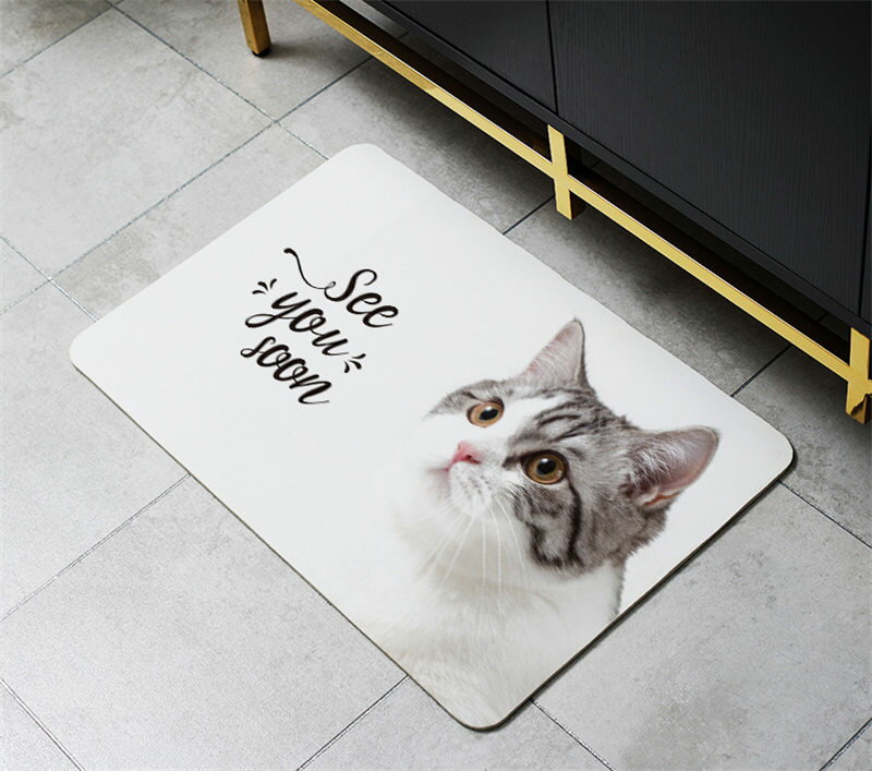 バスマット 珪藻土 ソフト やわらか 大判 速乾 吸水 洗える 足拭き お風呂 水切り マット キッチン 猫 手入れ 浴室 キッズ 洗面台 北欧