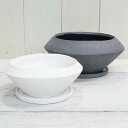 植木鉢 おしゃれ 陶器鉢 イオニアサークルL< 21cm 7号 穴あり 受け皿付 ホワイト ブラック 白 黒 モダン 和風 浅い 浅鉢 平鉢 寄せ植え プランタ...