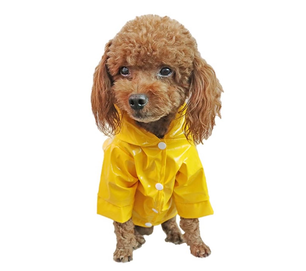 ZAX㤨ָѥ쥤󥳡  淿 ɥå  å 쥤󥦥 ɿ ȿͥơդ µդ ադ ѡ ˹դ  ڥå ߱ к  Τ   (֥å,LפβǤʤ3,535ߤˤʤޤ