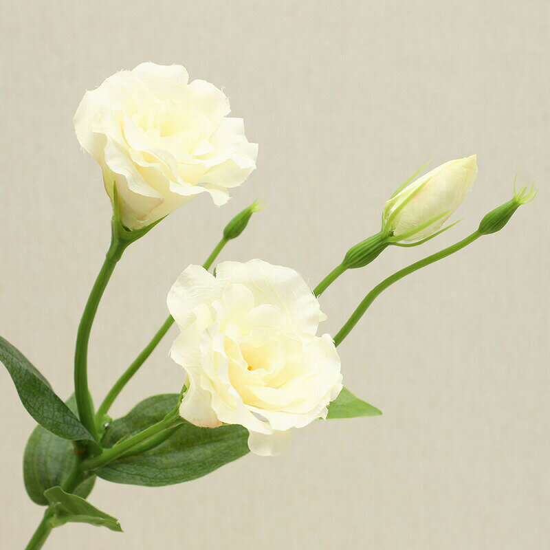 造花 桔梗 キキョウ 6色 リアル フェイクフラワー インテリア 3輪1本 2点セット 花束 ブーケ 一輪挿し 豪華 アレンジ 本物そっくり 大量 シルクフラワー ピンク イエロー ダークレッド ホワイト モダン インテリア 玄関 室内