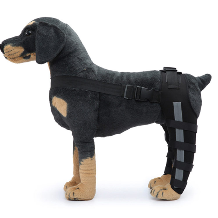 犬用 関節プロテクター 膝 サポーター 犬 用 関節プロテクター 後ろ足 用 膝 サポーター 後足関節保護 ..