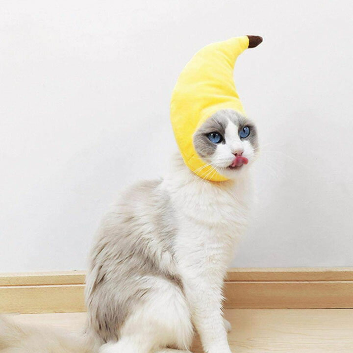 ペット帽子 バナナ ハロウィン Halloween 着ぐるみ 可愛い 帽子 犬猫ハット ペット用コスプレ 着脱簡単 猫 犬 キュート ドッグウェア 面白い 撮影道具 おしゃれ 着せ替え 変身グッズ ペット用品 パーティー 送料無料