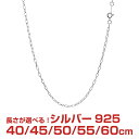 シルバーチェーン 長アズキ シルバー925 幅2.2mm 長さ 40/45/50/60cm slcl60 Sears (シアーズ) 誕生日プレゼント