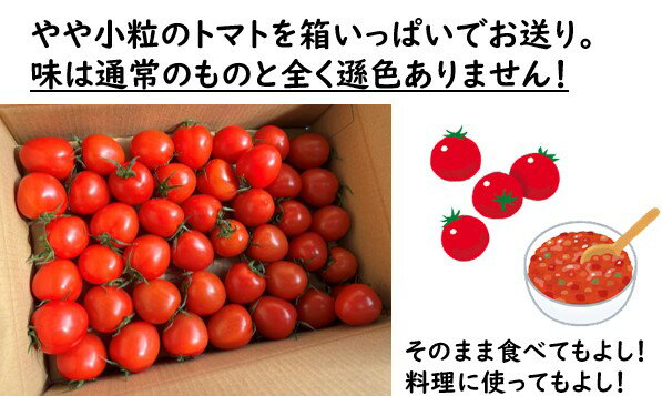 【送料無料】箱いっぱいのおやつトマト おやつ 甘い トマトジュース 健康 おいしい トマトソース リコピン